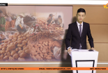 Bản tin Tiêu dùng: Phát hiện khoai tây Trung Quốc giả hàng Đà Lạt và Muối ớt bẩn