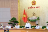 Thủ tướng đề nghị cần có biện pháp xử lý việc có thông tin bôi xấu sản phẩm cá tra Việt Nam