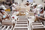 Lo ngại gỗ Trung Quốc 'mượn danh' hàng Việt để xuất khẩu