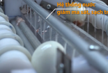 Chàng trai chế tạo máy bóc 3.000 vỏ trứng mỗi giờ ở TP.HCM