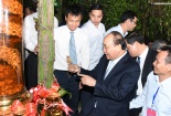 Thủ tướng: Đưa ‘quốc bảo’ sâm Ngọc Linh thành quốc kế dân sinh