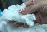 Chuyên gia cảnh báo những tác hại không ngờ khi trẻ sử dụng bỉm giả