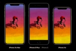 Tiết lộ lý do khiến 50% người được hỏi nói ‘ghét’ iPhone mới