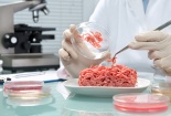 Nhiều loại thịt tại các cửa hàng bán lẻ nhiễm khuẩn E.coli đa kháng thuốc