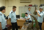 Hải quan Nội Bài bắt hơn 50 kg nghi sừng tê giác