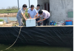 Giám sát môi trường nước áp dụng công nghệ LORA vào nuôi tôm