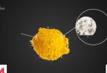 Làm sao để nhận biết tinh bột nghệ xịn?