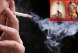 Chuyên gia cảnh báo nguy cơ mắc ung thư phổi do tiếp xúc với khói thuốc lá thụ động