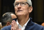 CEO Apple dậy trước 4 giờ sáng để làm gì?
