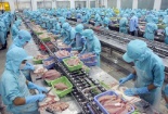 Xuất khẩu thủy sản 11 tháng chạm mức 8 tỷ USD