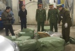 Ngăn chặn lô nầm lợn chảy nước màu đen, bốc mùi hôi thối tuồn lậu vào Việt Nam