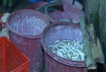 Thanh Hóa: Phát hiện cơ sở chế biến hơn 300kg nội tạng bẩn mỗi ngày