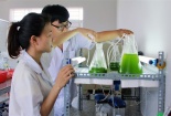Phòng thí nghiệm phải đảm bảo các chuẩn về quản lý hóa chất nguy hiểm