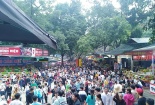 Lễ hội Xuân 2019: Công khai tổ chức, cá nhân vi phạm an toàn thực phẩm