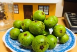 Những công dụng chữa bệnh tuyệt vời từ quả sung không phải ai cũng biết