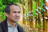 Cao su quay lại thời hoàng kim, bầu Đức vẫn ngậm ngùi báo lỗ