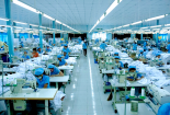 Gần 7.200 doanh nghiệp Việt xuất khẩu hàng hóa sang thị trường Hoa Kỳ