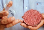 7 năm nữa thịt nhân tạo sẽ có giá rẻ như thịt nuôi