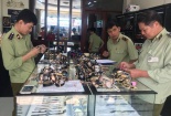 Hơn 3.000 đồng hồ ‘hàng hiệu’ bị bắt giữ: Giật mình con số 80% trên thị trường là hàng ‘fake’ 