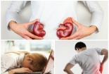 Những đối tượng dễ mắc bệnh thận, đâu là dấu hiệu cảnh báo cần đi khám ngay?