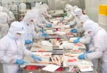 Ngành chế biến, chế tạo được FDI rót vốn hơn 200 tỷ USD