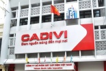 Vì sao 2 thành viên HĐQT lần lượt rời CTCP Dây cáp điện Việt Nam?