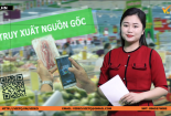 Bản tin Chất lượng Hội nhập: Truy xuất nguồn gốc lợi cả đôi đường