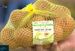 Đã có nhận diện thương hiệu khoai tây Đà Lạt