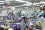 Dệt may cần khai thác nguồn vải từ EU, Hàn Quốc để tăng xuất khẩu vào EU