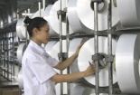 Nỗ lực vận hành trở lại Nhà máy xơ sợi Đình Vũ