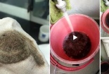 Nước sinh hoạt như ‘nước cống’, cư dân Văn Phú Victoria mòn mỏi chờ câu trả lời