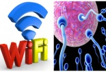 Nhật Bản cảnh báo: Sóng wifi có thể khiến đàn ông khó có con
