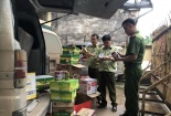 Nhập lậu xì dầu, phụ gia thực phẩm Trung Quốc về Việt Nam tiêu thụ
