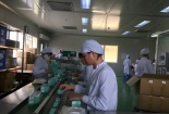 Đột phá công nghệ kín sản xuất thuốc nhỏ mắt của Traphaco 
