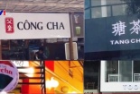 Tràn lan trà sữa nhái thương hiệu