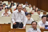 Bộ NN&PTNT: ‘Dịch tả lợn châu Phi gây thiệt hại vô cùng lớn'