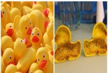 Phát hiện hóa chất gây vô sinh 'tiềm ẩn' trong vịt cao su đồ chơi trẻ em Trung Quốc