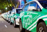 Xe taxi công nghệ sẽ gắn mào để dễ quản lý