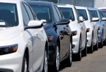 Ô tô nhập khẩu tăng gần 3.500 chiếc trong tháng 5/2019