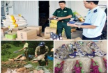 Quảng Ninh quyết liệt đấu tranh chống buôn lậu, gian lận thương mại và hàng giả 