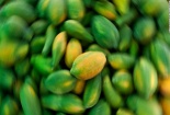 62 người bị bệnh do nhiễm khuẩn Salmonella liên quan đến đu đủ tươi 