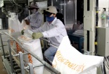 Giải pháp để ngành mía đường nâng cao năng suất, phát triển bền vững