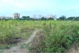 Dự án Louis City Tân Mai đi đâu về đâu?