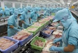 Xuất khẩu thủy sản đạt gần 4 tỷ USD trong 6 tháng đầu năm 2019