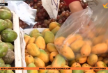 Xoài mini giá 'mềm' hơn so với mọi năm hút người tiêu dùng