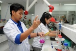 Tổ chức khoa học và công nghệ công lập: Vẫn vướng mắc dù có cơ chế tự chủ