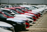 Ôtô nhập khẩu về TP.HCM tăng gấp 5 lần so với năm ngoái