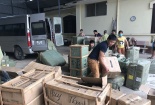 Nhập lậu cây sen tắm, khăn tắm của Trung Quốc về Việt Nam tiêu thụ