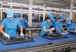 Báo cáo Thủ tướng kết quả vụ Asanzo trước ngày 30/7