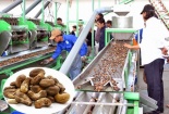 ‘Chìa khóa’ nào giúp doanh nghiệp vừa và nhỏ nâng cao năng suất?